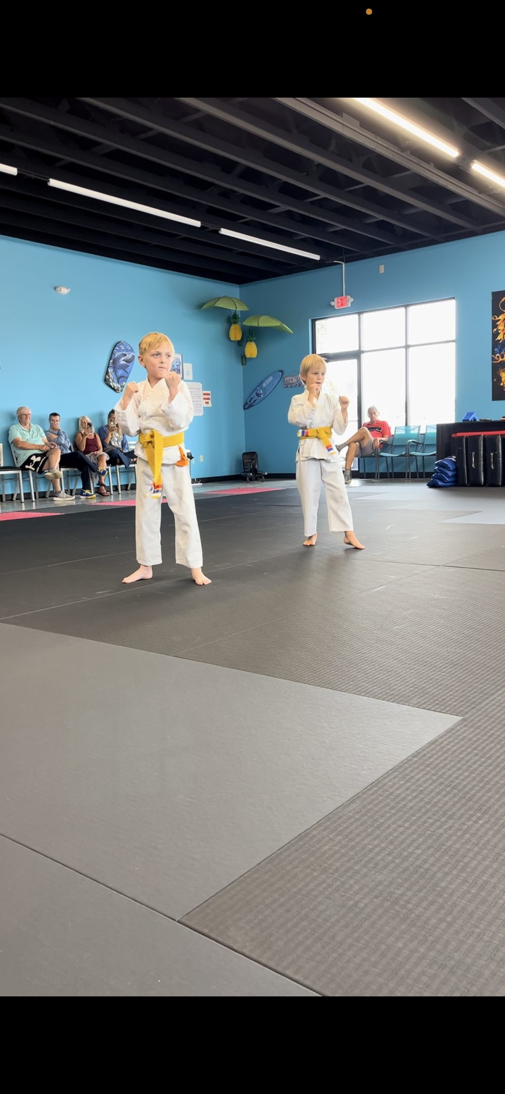 Life in the Dojo - Land Shark Martial Arts, Eau Claire WI
