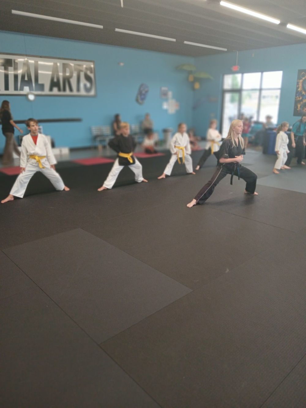 Life in the Dojo - Land Shark Martial Arts, Eau Claire WI
